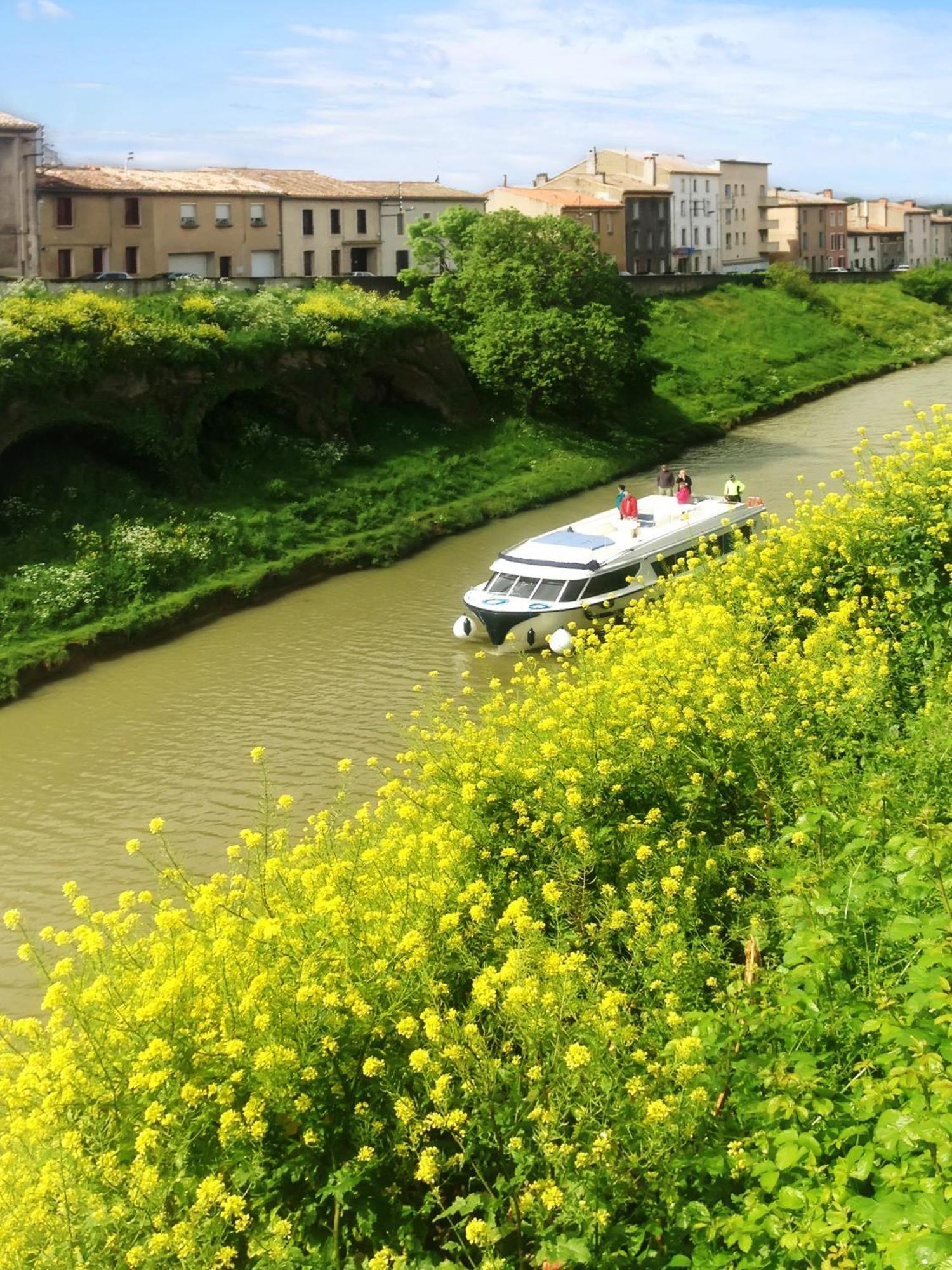 Appartement Charmant A Carcassonne Avec Terrasse ภายนอก รูปภาพ